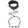 Master Series Collared Temptress Collar with Nipple Clamps