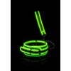 Ouch! Glow in the Dark Collar and Leash