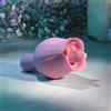 Adam & Eve Eve's Ravishing Clit Flicking Rose Pink