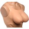 Master Series Perky Pair D-Cup Silicone Breasts