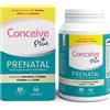 Conceive Plus Prenatal 60 caps - SALE exp. 09/2025