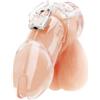 Blueline Acrylic See-Thru Chastity Cage