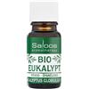 Saloos Bio Essential Oil Eucalyptus 5ml