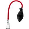 Blush Temptasia Beginners Clitoral Pump System