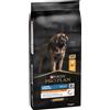 Purina Pro Plan Cane - Large Robust Everyday Nutrition 14 Kg