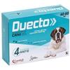 Candioli - Duecto Cani 4 pipette 40 - 60 Kg