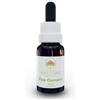 Green Remedies Australian Bush Flower Essences Five Corners Gocce 15 Ml