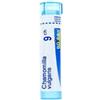 Boiron CHAMOMILLA VULGARIS (BOIRON)*80 granuli 9 CH contenitore multidose 4G