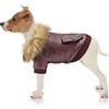 NAMSAN Giacca per Cani Cappotto Invernale per Cane Materiale Confortevole per Cane Taglia Piccola/Media
