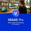 VEGAS Pro 20 - Video, audio e streaming per creatori | software di editing video | software di taglio video | Video Editor | Windows 10/11 PC | 1 licenza