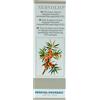 VEGETAL-PROGRESS NERVOLIO 50ML VEGETAL PROGR