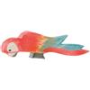 Pappagallo multicolore Ostheimer