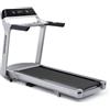 Horizon Fitness Tapis Roulant Elettrico Pieghevole Salvaspazio Treadmill Paragon X