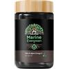 NatuRise® Omega 3 Vegan - Olio di alghe - 1124 mg di DHA ed EPA - Alto dosaggio - 60 capsule - Testato in laboratorio - Forma trigliceride - Senza carragenina - Vetro UV