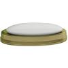 nu steel Jewel portasapone, a Righe, Oro
