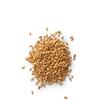 Molino Zappala' 1Kg Grano Duro variet Senatore Cappelli