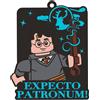 LEGO Magnete Expecto Patronum