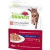 AFFINITY PETCARE ITALIA Srl Natural Adult Salmone Bocconcini in Salsa - 85GR