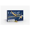 Shedir Pharma Unipersonale Fastcap 500 30 Compresse Rivestite