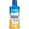 Scenit Redefining your Body L Carnitina 3000 - L Carnitina Liquida 500 ml - Carnitina Liquida 3000 - Carnitina Liquida - L-Carnitina 3000 - L Carnitina Fiale - L Carnitina - l - Carnitina (1 flacone da 500 ml) (Arancia)
