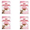 Royal Canin Kitten Sterilised Gravy | Confezione da 4 | 4 x 12 x 85 g | Cibo umido per gattini sterilizzati in crescita | Dai 6 ai 12 mesi | Consistenza morbida per i denti da latte