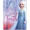 Disney Northwest Disney Frozen, coperta Silk Touch, 101,6 x 127 cm, Living Truth