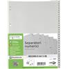 SEI ROTA SEPARATORE NUMERICO 1-31 PPL 21X29,7 RECORD RA4 1-31 SEI