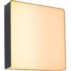 Paulmann 94842 Lampada per pareti esterne LED Smart Home Zigbee Azalena rilevatore di movimento IP44 250x97mm Tunable Warm 8,5W 700lm antracite