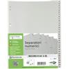 SEI ROTA Separatore numerico 1-31 Record R - PP - 21 x 29,7 cm - A4 - grigio - Sei Rota (unità vendita 1 pz.)