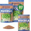ZenGreens® - Semi di rucola biologico - Scegli tra 10g, 200g e 500g - Germogli di rucola - Germinazione superiore al 97% - Microgreens