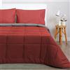 Morbidissimi Trapunta Piumone invernale, Bicolore, Double face, Calda e Anallergica, Super Soft, in Microfibra manopesca, Imbottitura 300 gr/mq J928 Una piazza e mezza BORDEAUX-GRIGIO SCURO