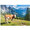 MyPuzzle.com MyPuzzle Mucca Al Pascolo Su Un Prato Alpino Nelle Dolomiti - Premium 1000 Pezzi Puzzle - MyPuzzle Collezione speciale di Puzzle Galaxy