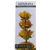 Dr. Giorgini Genziana 200 ml Dr. giorgini integratore