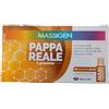 Massigen Pappa reale 10 flaconcini da 25 ml