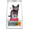 Hill's Kitten Sterilised con pollo per gatto 2 x 1,5 kg