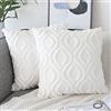 NIULAA Set da 2 Fodere per Cuscini 40x40 Bianco in Velluto di Lana Peluche Fodera Cuscino Decorativo Boho Ricamato in Pelliccia Copricuscini Quadrata Lusso per Divano Soggiorno