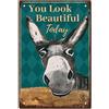 CREATCABIN Asino Vintage Targhe in Metallo You Look Beautiful Today Retro Garage Targhe in Latta Garage Signs Men Decor Accessori per Parete Cucina Coffee Bar Casa Bagno Vintage Sign Regali 20 x 30cm