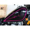 Adesivo serbatoio compatibile Kawasaki 454 LTD ANNO 1990 scegli colore Cod.1768
