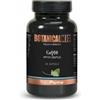 Promopharma Botanical Mix CoQ10-Antiox Integratore Antietà 30 Capsule
