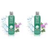 MENFORSAN Shampoo Repellente per Insetti e Pulci per Cani, 1L (Confezione da 2)