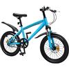 NadineDutol Bicicletta per bambini, 18 pollici, mountain bike, per principianti, per bambini, universale, colore blu