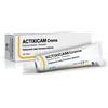 DIFA COOPER SpA ACTIXICAM CREMA 50ML