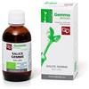 Fitomedical SALICE GEMME MACERATO GLICERICO 100 ML BIO