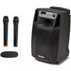 Empire Altoparlanti Empire Audiodesign pro m2 + 2 microfoni + scheda Audio 100W 9.6kg [KIT.CG2]