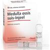 GUNA SpA Medulla ossis suis-Injeel 10 fiale da 1,1 ml