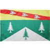 AZ FLAG Bandiera Vosgi 90x60 cm Stendardo Francese Poliestere 100D Asola | Uso interno ed esterno bandiera decorativa Vosges doppie cuciture e bordi rinforzati con guaina per asta