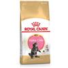 ROYAL CANIN Cibo per gatti Kitten Maine Coon 10 Kg