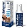 INNOVET ITALIA Srl Redoderm Shampoo Cane/Gatto 250ML