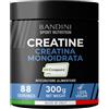 Bandini® Creatina CREAPURE® Monoidrata in Polvere Pura - Integratore per Allenamento, Sport, Palestra e Pre Workout - Include Dosatore - 100% Vegan - A base di Creatine Monoidrato per ATP e recupero