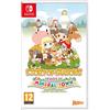 Marvelous Story of Seasons Friends of Mineral Town - Nintendo Switch [Edizione: Francia]